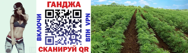 Шишки марихуана White Widow Челябинск